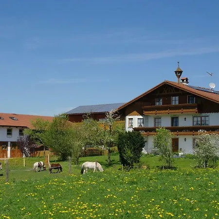 Apartment Berghof Walser